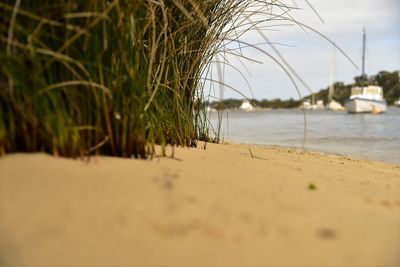 Scenic view of calm lake