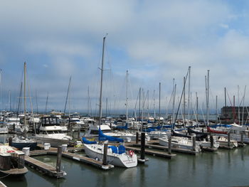 Sailboats moored at harbor