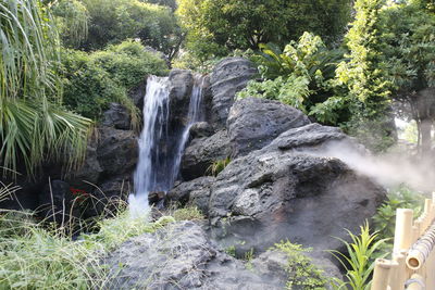 Scenic view of waterfall in forest