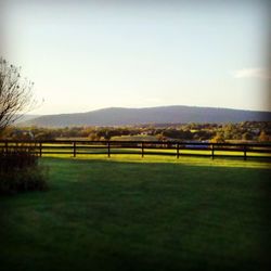 Scenic view of grassy field against sky