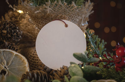 Close-up of christmas tree
