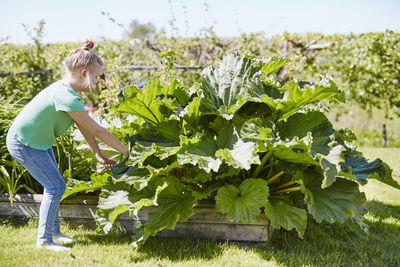 Girl on vegetable path