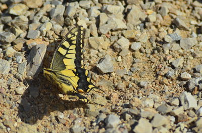 Full frame shot of pebbles