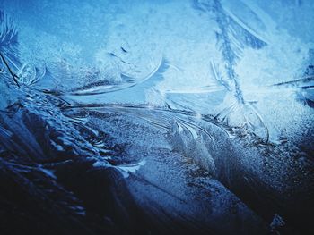 Full frame shot of frozen plants