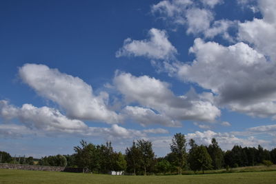 Trees on field against sky