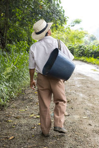 Rear view of man with basket walking on footpath