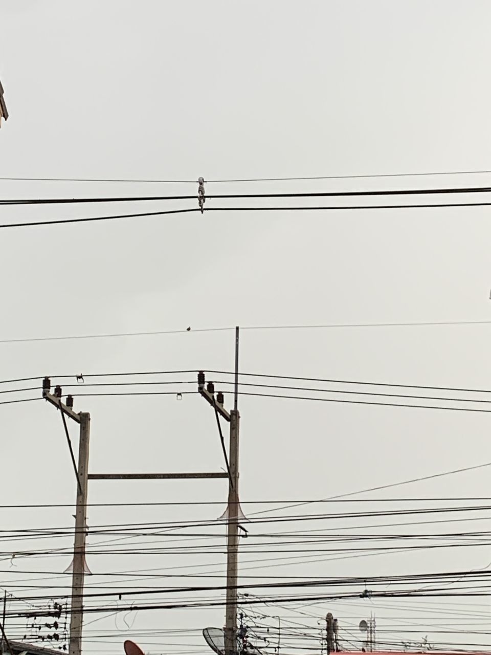 LOW ANGLE VIEW OF POWER LINE AGAINST SKY