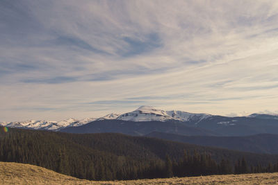 Pine forest hills with peaceful mountains landscape photo