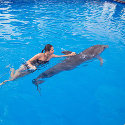 High angle view of man swimming in pool