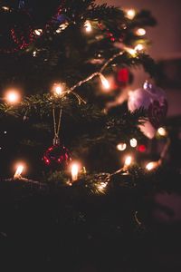 Illuminated christmas tree at night