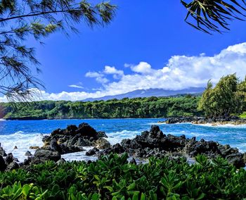 Scenic view of bay against blue sky