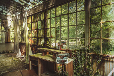 Interior of abandoned building
