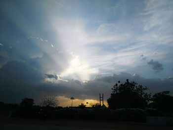 Silhouette trees against sky during sunset