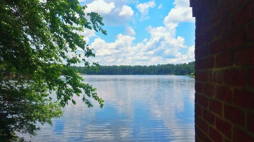 Reflection of trees in lake