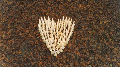 Directly above shot of heart shape