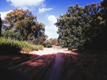 Road amidst trees against sky