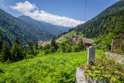 Scenic view of trees and mountains against sky