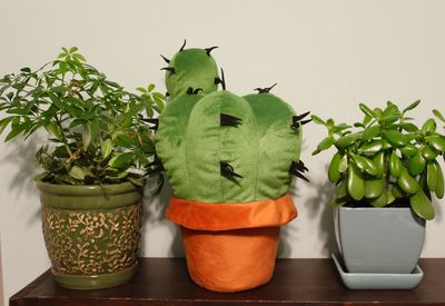 Close-up of potted plant on table