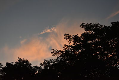 Low angle view of silhouette trees against sky at sunset