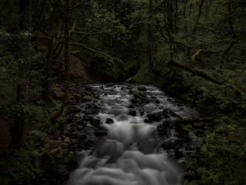 Stream flowing through rocks in forest