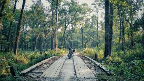 Motorcycle parked on boardwalk in forest