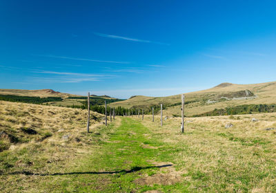 Scenic view of field against blue sky