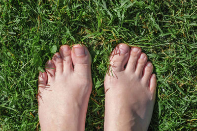 Bare feet on green grass. selfie. female feet on the green grass. rustic lifestyle.  top view