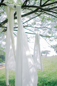 White umbrella hanging on field