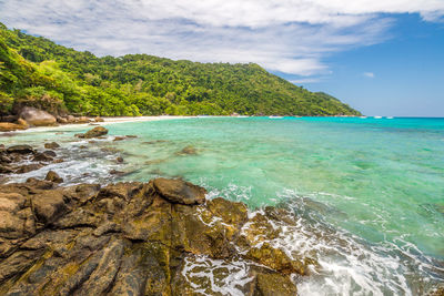 Scenic view of beach