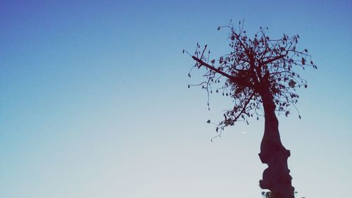 Low angle view of tree against clear blue sky