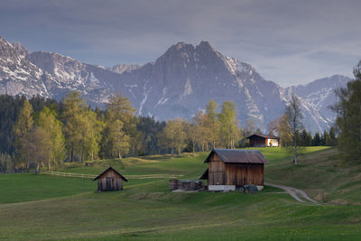 Austrian alps in summer