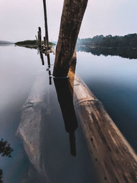 Low section of tree by lake against sky