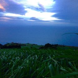 Scenic view of field against cloudy sky