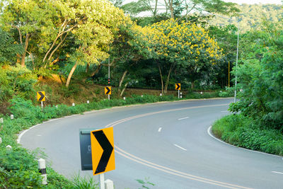 Road sign by trees