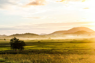 Scenic view of field against sky during sunset