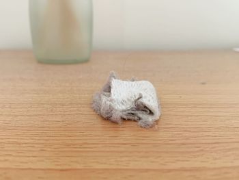 High angle view of dentures on table