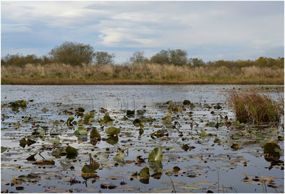 Scenic view of lake against sky