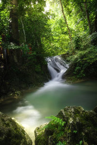 Scenic view of waterfall in forest