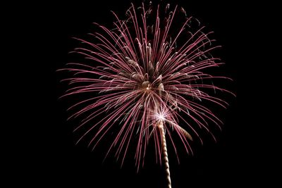 Low angle view of firework display at night