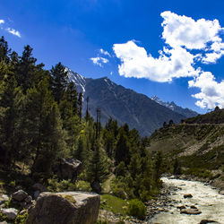 Scenic view of trees and mountains against blue sky