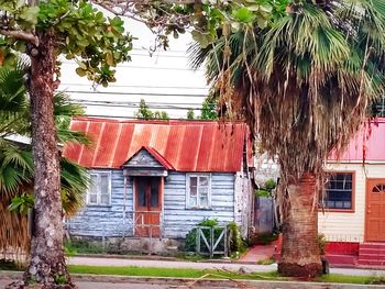 House with trees in background