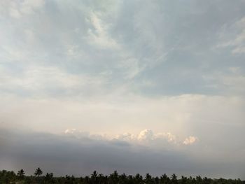 Low angle view of silhouette trees against sky