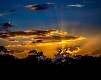 Silhouette trees against sky during sunset