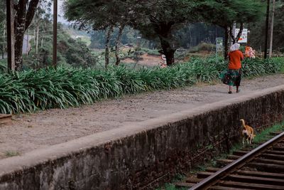 Rear view of woman walking by railroad track