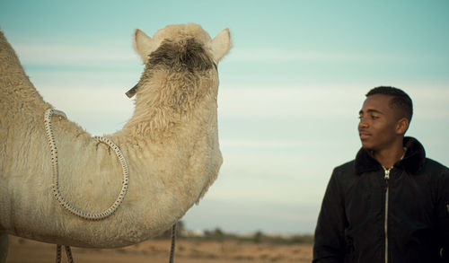 Rear view of man with camel on desert