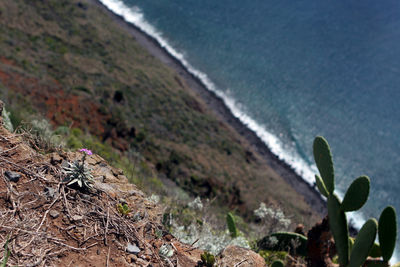 High angle view of surf on beach