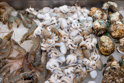 Close-up of fish for sale in market