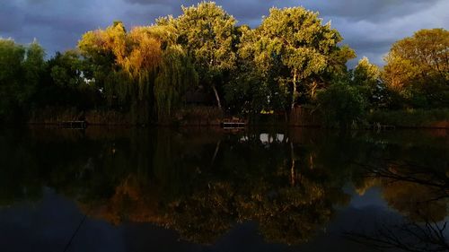 Trees by lake against sky during autumn