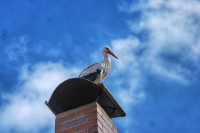 Low angle view of bird perching on building against sky