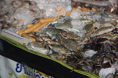 Close-up of seafood for sale at market stall